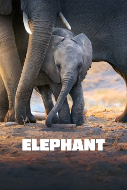 Watch free Elephant hd online